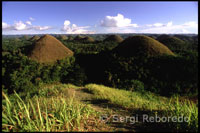 A causa de las formaciones geológicas, estas montañas con formas ondulantes cerca del pueblo de Carmen se las conoce como montañas de chocolate. Montañas de Chocolate Hills. Bohol. Las Visayas.